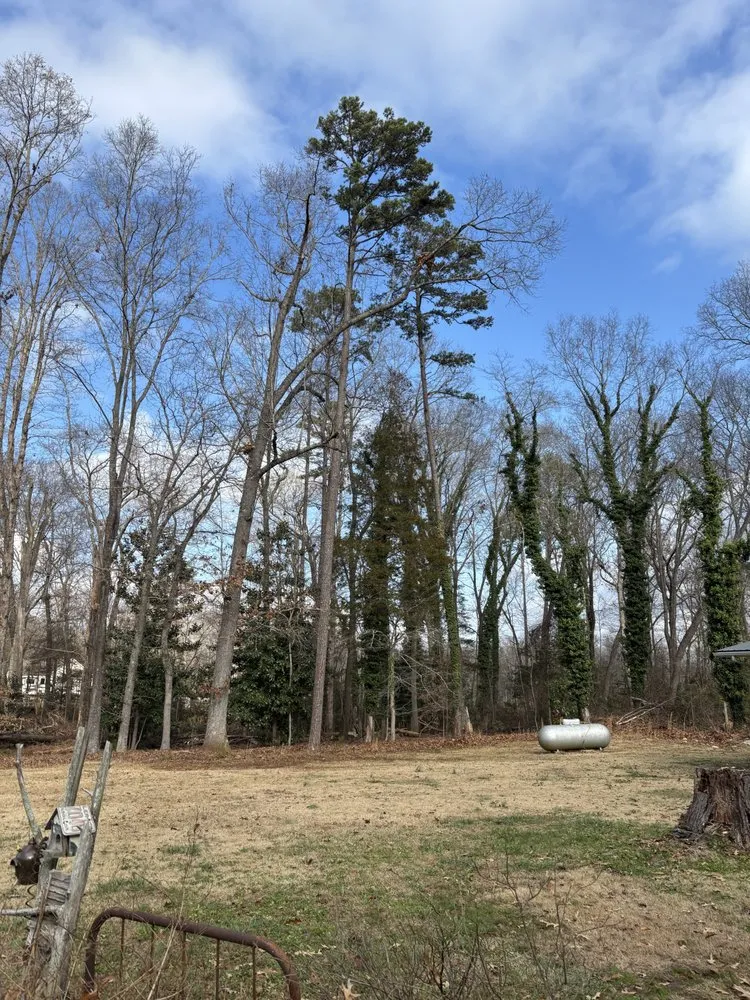 Expert lawn mowing service for beautiful yards across Goldston, NC - SG Mowing