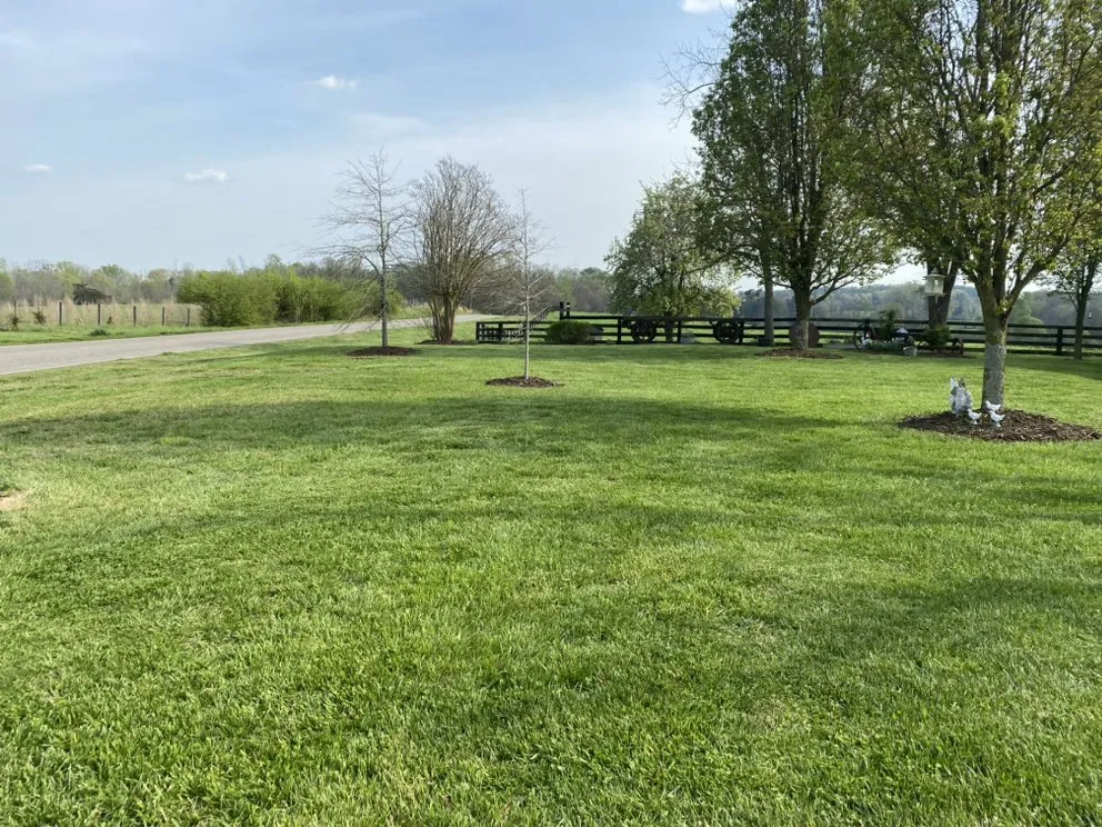 Expert lawn care service near you across Goldston, NC - SG Mowing