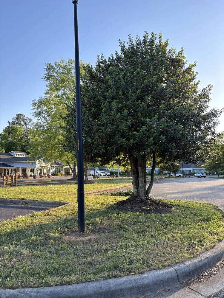 Top-rated lawn care service with custom design across Goldston, NC - SG Mowing