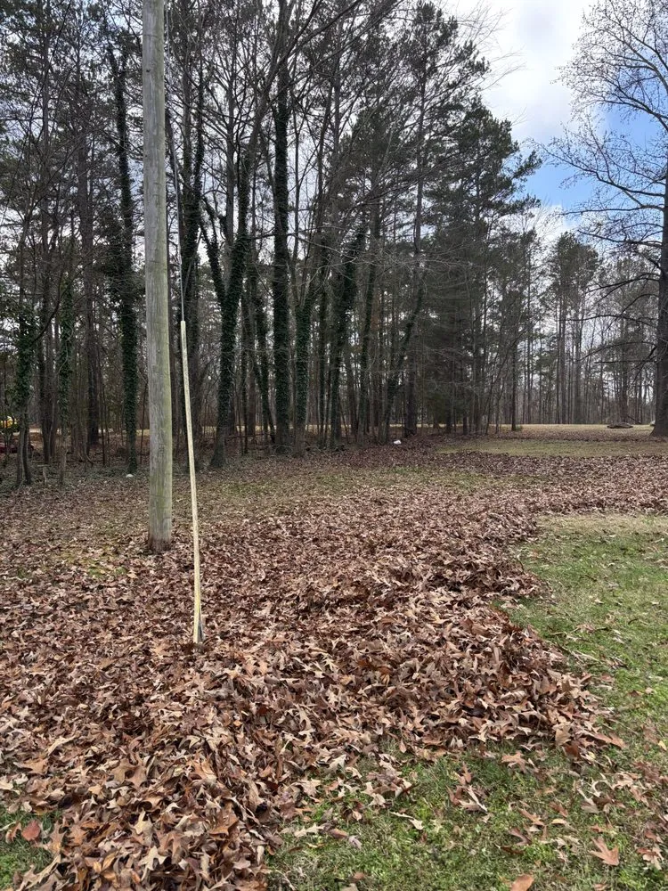 Affordable yard maintenance in Goldston, NC by SG Mowing