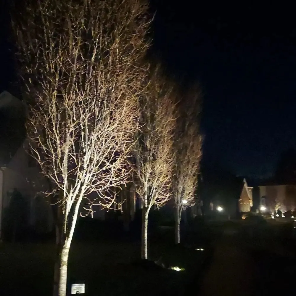 Top-rated lawn mowing service for residential properties across Fairmount Heights, MD - SG Outdoor Lighting