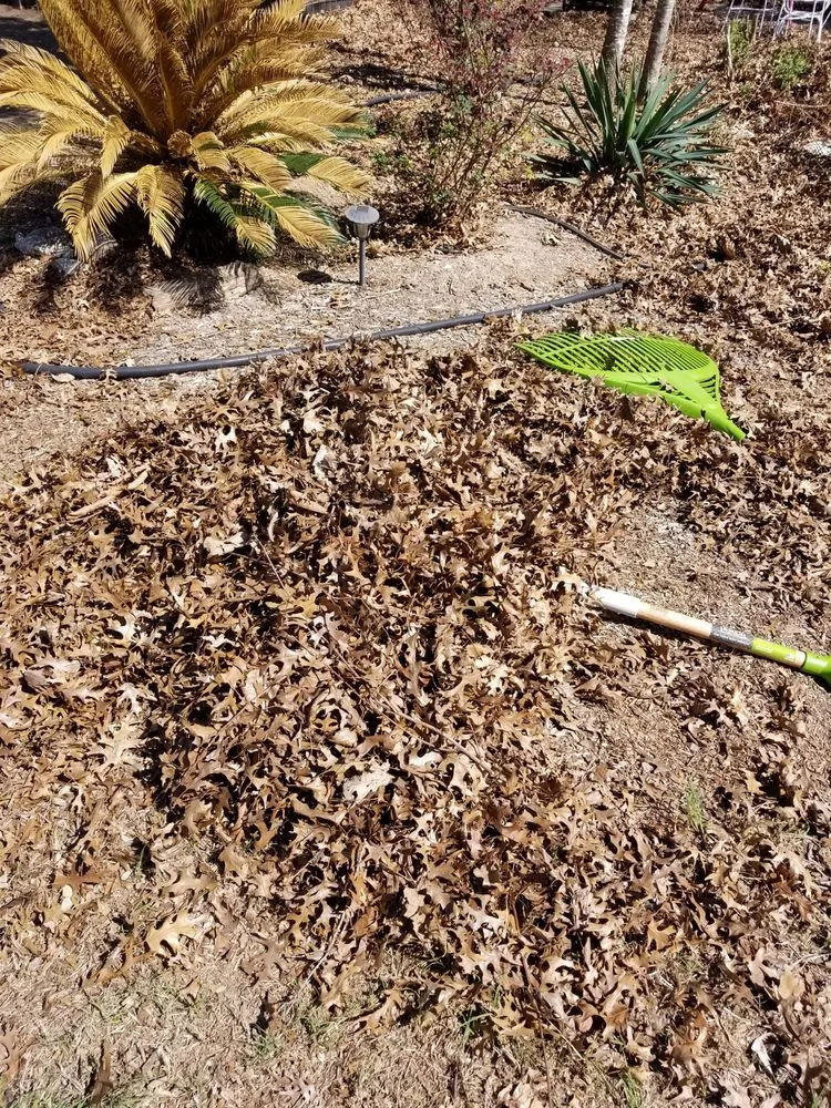 Trusted garden landscaping in Round Rock, TX - SG Outdoor Services