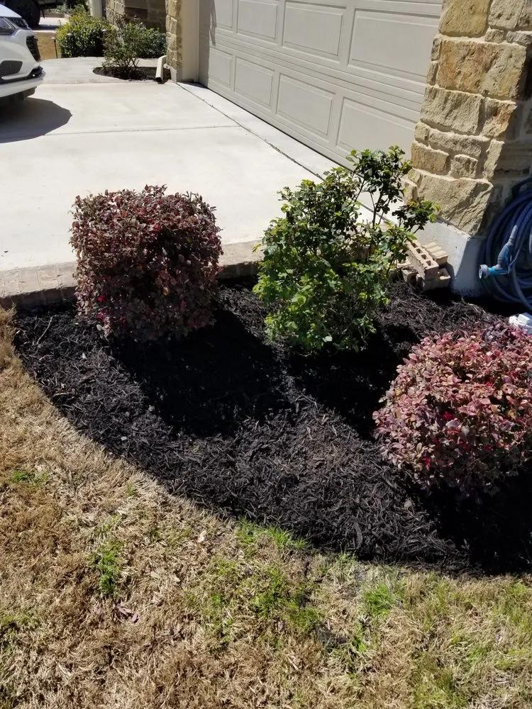 Professional residential landscaping in Round Rock, TX by SG Outdoor Services