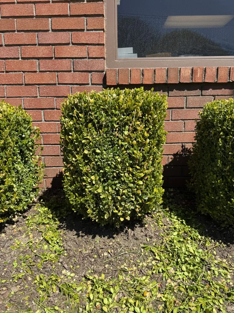 Top-rated lawn care service in East Northport, NY - SG Property Maintenance