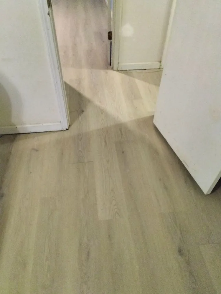 Top-rated yard cleanup service for residential properties in Atlanta, GA by SG Remodeling