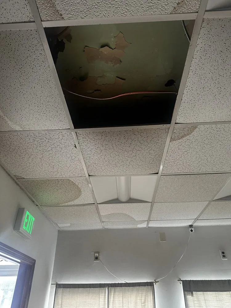 Trusted garden landscaping in Baltimore, MD by Sgc Assist