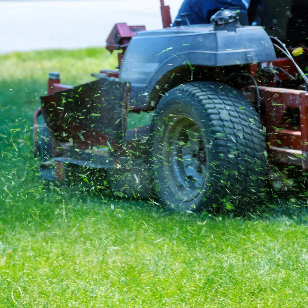Custom landscape design in Sarasota, FL by Sgc Landscaping