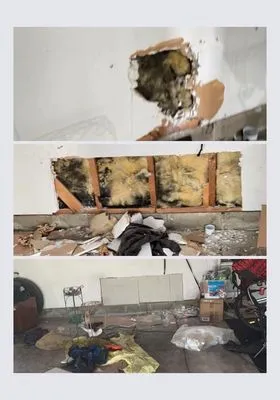 SGF Home improvement Logo