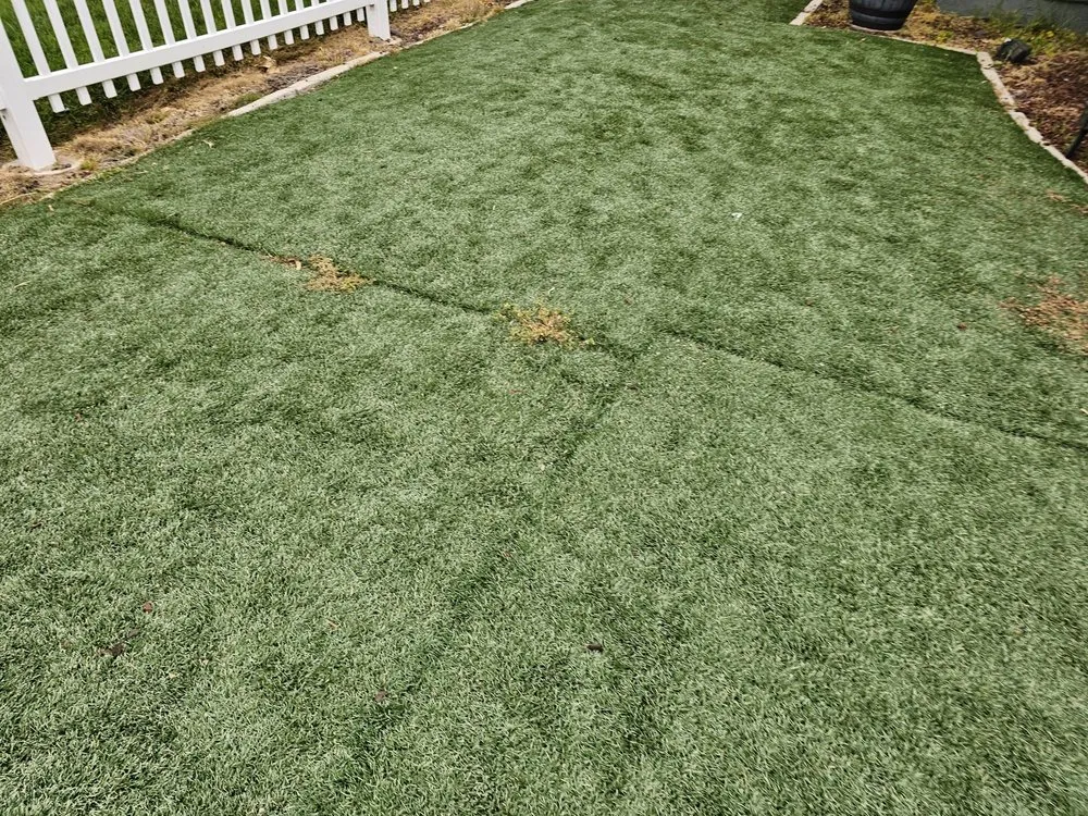 Affordable outdoor landscaping experts serving Chula Vista, CA - SGI Turf