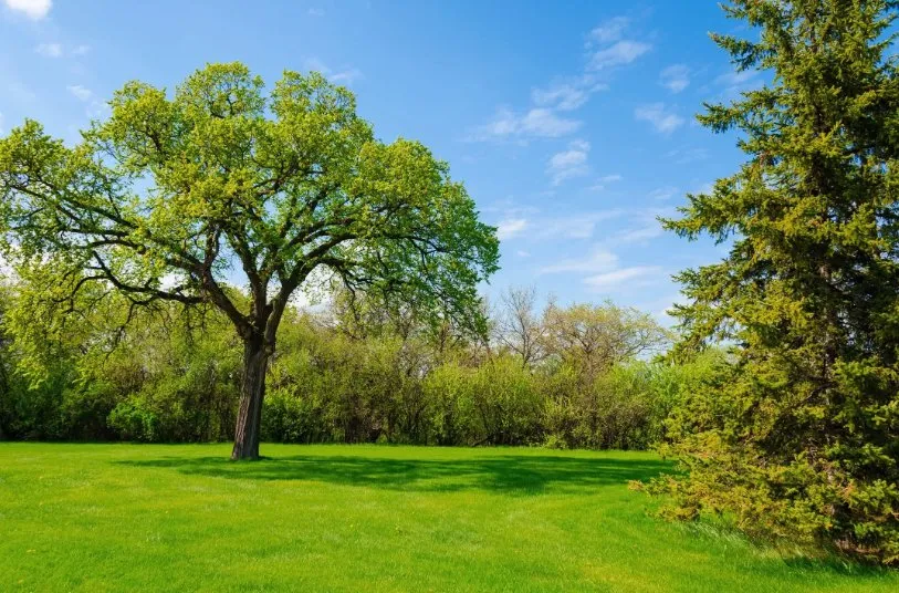 Custom residential landscaping in Covington, GA by SGM Landscaping