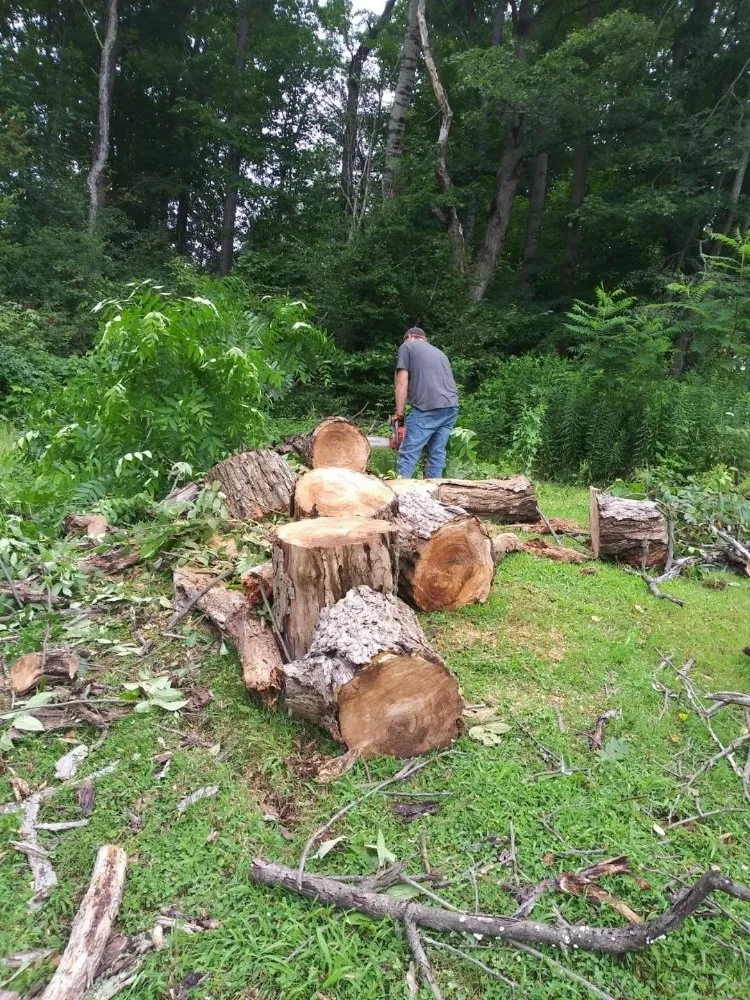 Reliable landscape design in Wellsville, NY by SGS Lawn Services