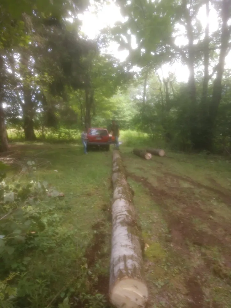 Professional yard cleanup service experts serving Wellsville, NY - SGS Lawn Services