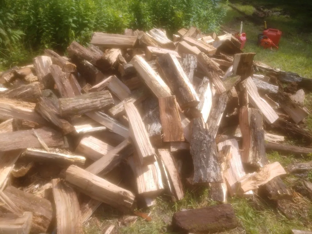 Affordable yard maintenance in Wellsville, NY by SGS Lawn Services