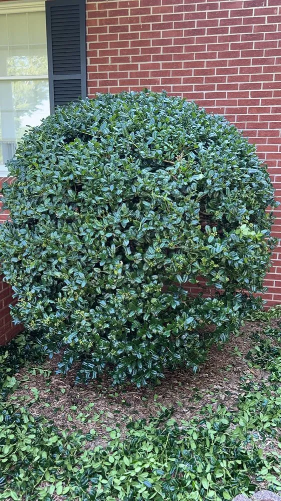 Expert outdoor landscaping experts serving Newton, NC - Sh & S Home Remodeling