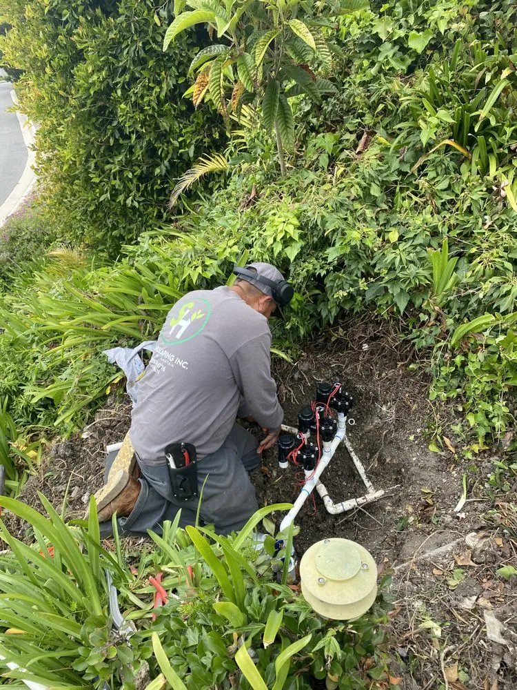 Affordable lawn care service in San Pedro, CA by SH Landscaping