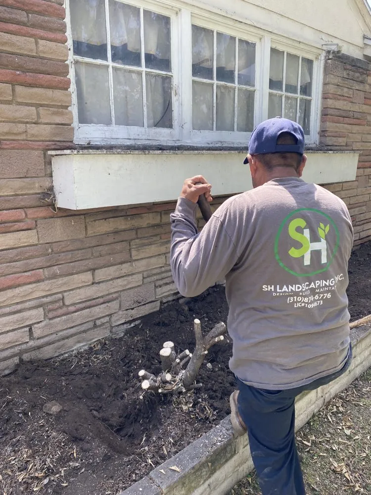 Reliable landscape design for homes across San Pedro, CA - SH Landscaping