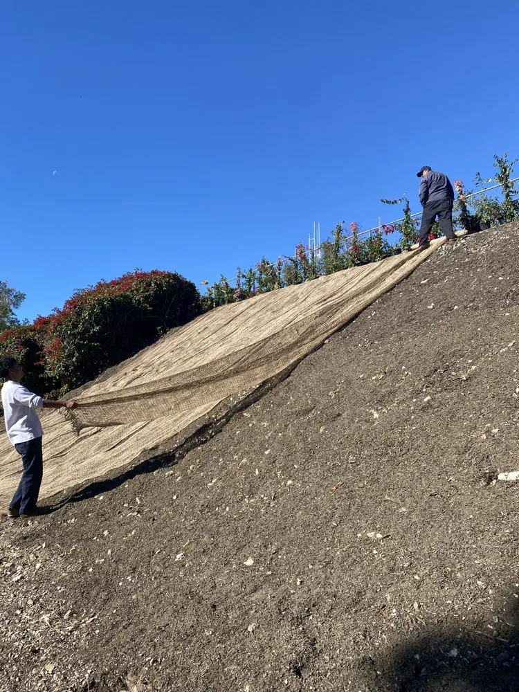 Reliable residential landscaping for beautiful yards across San Pedro, CA - SH Landscaping