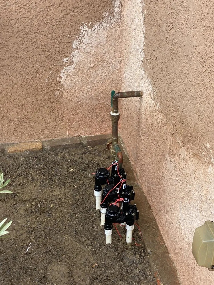 Affordable lawn care service in San Pedro, CA - SH Landscaping