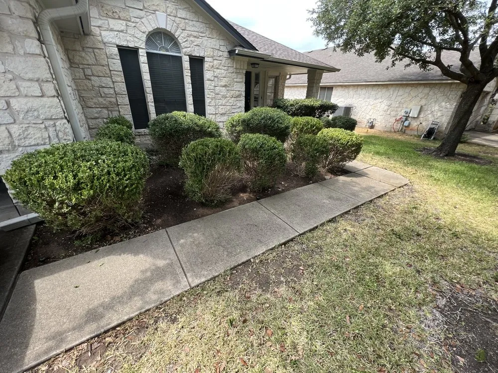 Affordable yard cleanup service in Austin, TX - S&H Lawn Care