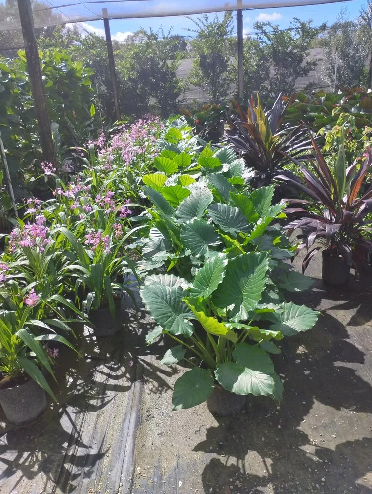 Affordable landscape installation for residential properties in Immokalee, FL by S&H Lawn Service