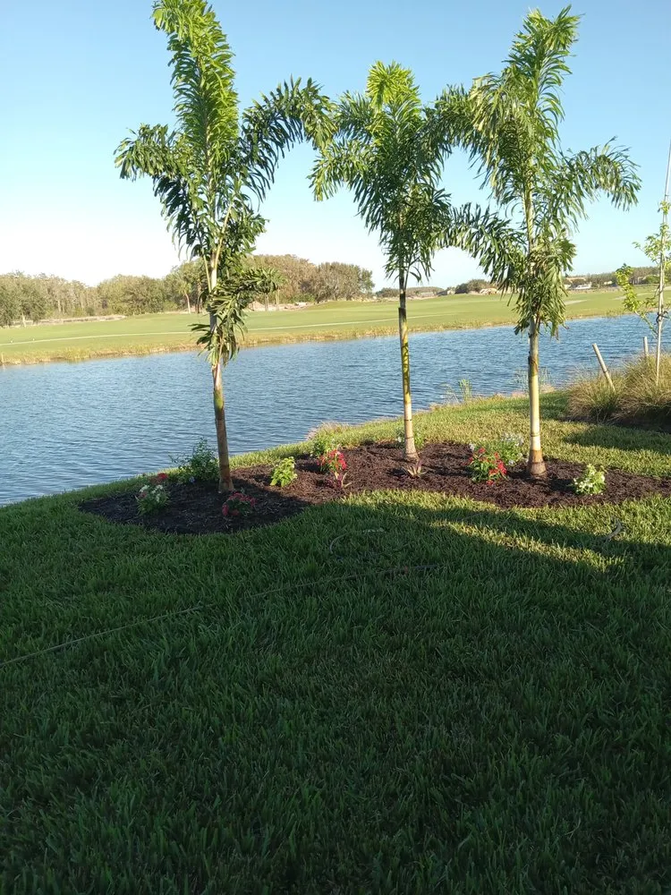 Professional landscape design in Immokalee, FL - S&H Lawn Service