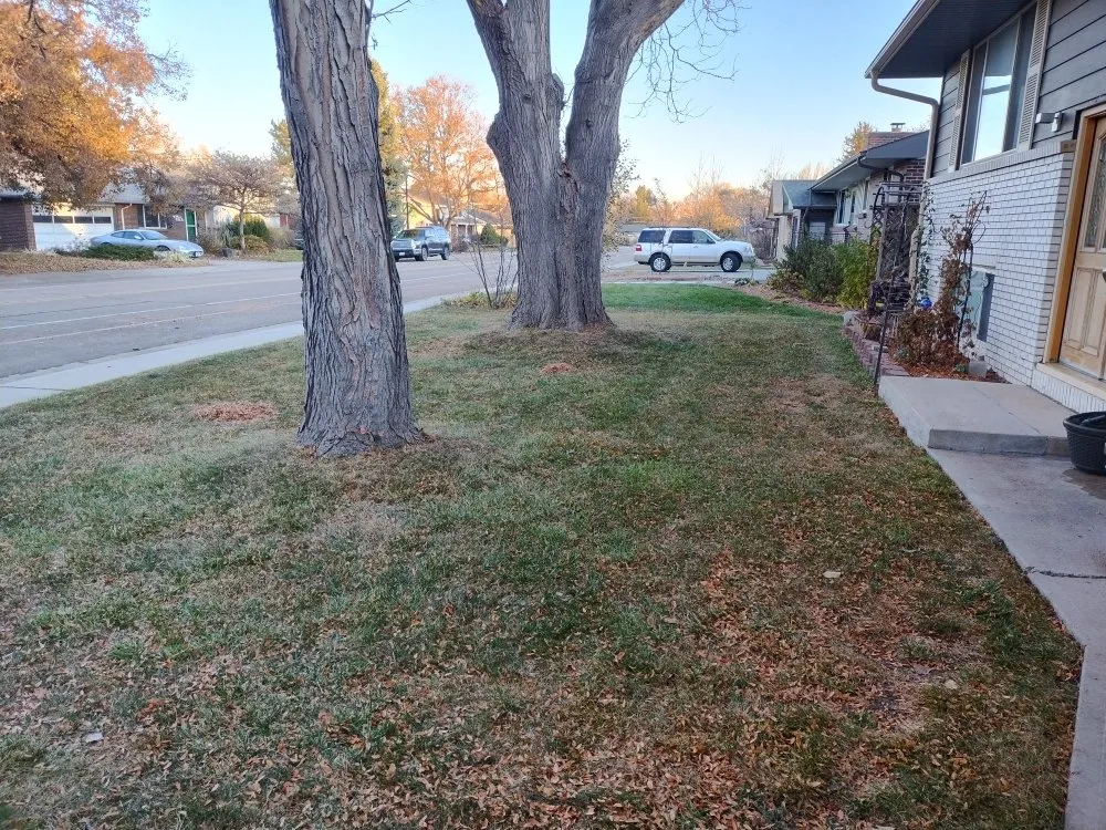 Expert outdoor landscaping for residential properties in Longmont, CO by S&H Lawn Service