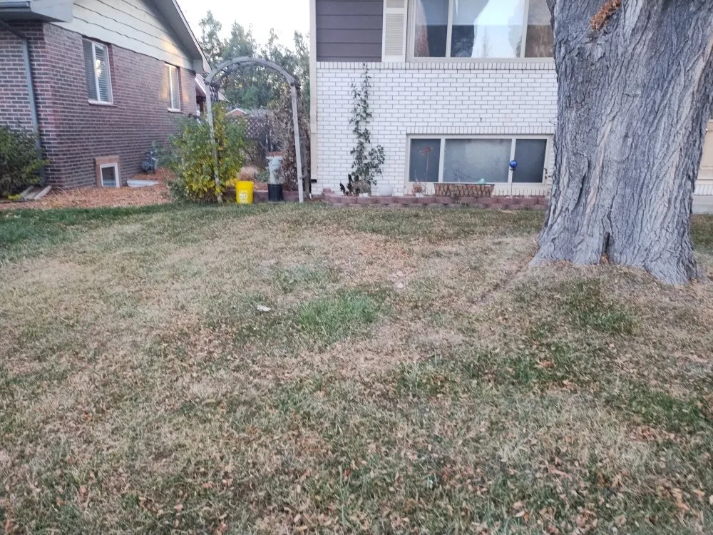 Expert outdoor landscaping in Longmont, CO - S&H Lawn Service