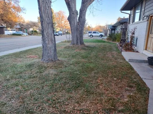 S&H Lawn Service Logo