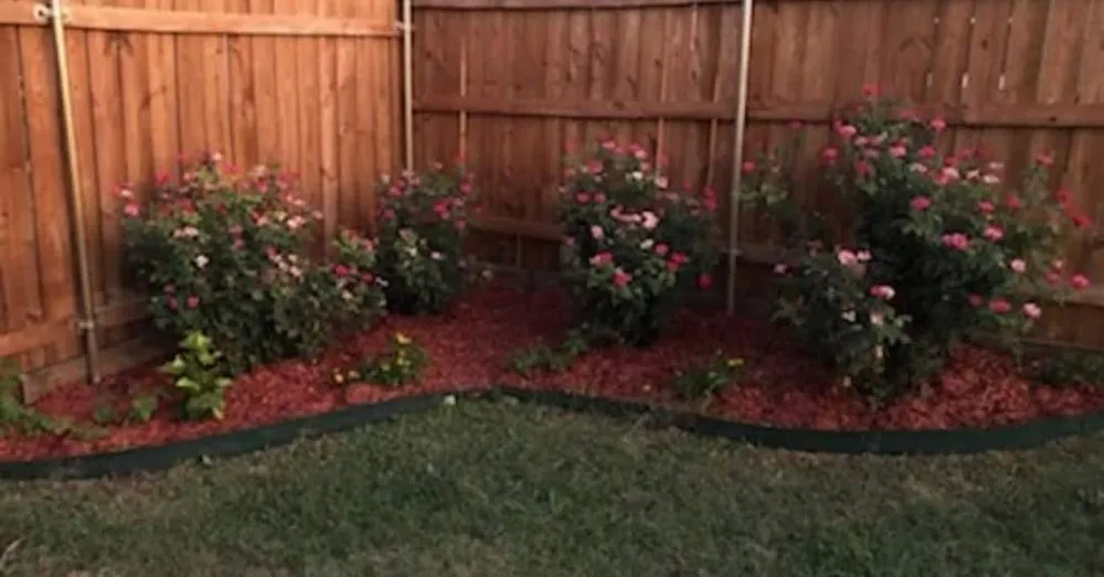 Reliable residential landscaping near you in Belton, TX by S&H Lawn Services