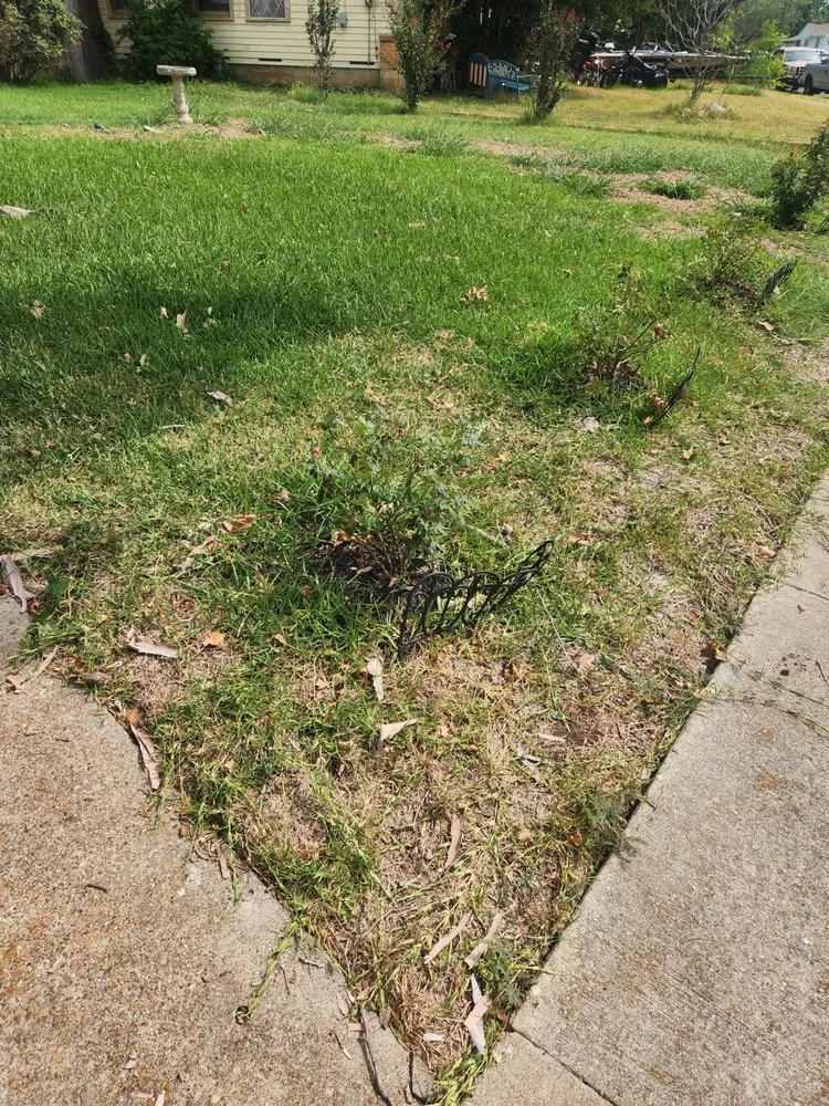 Reliable yard cleanup service in Belton, TX by S&H Lawn Services