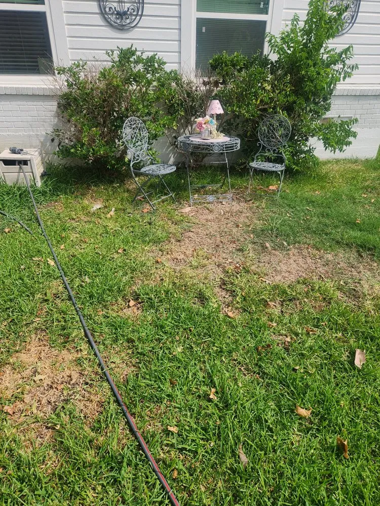 Affordable garden landscaping for beautiful yards across Belton, TX - S&H Lawn Services