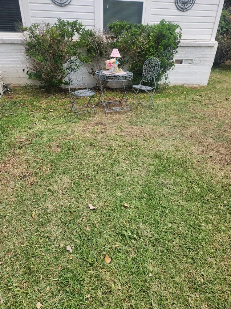 Reliable landscaping services for homes in Belton, TX by S&H Lawn Services