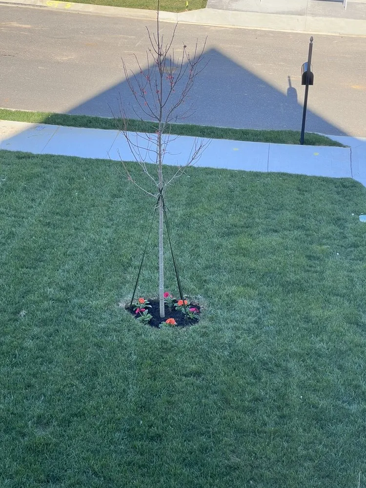 Custom lawn care service in Nashville, TN - SH Pressure Washing