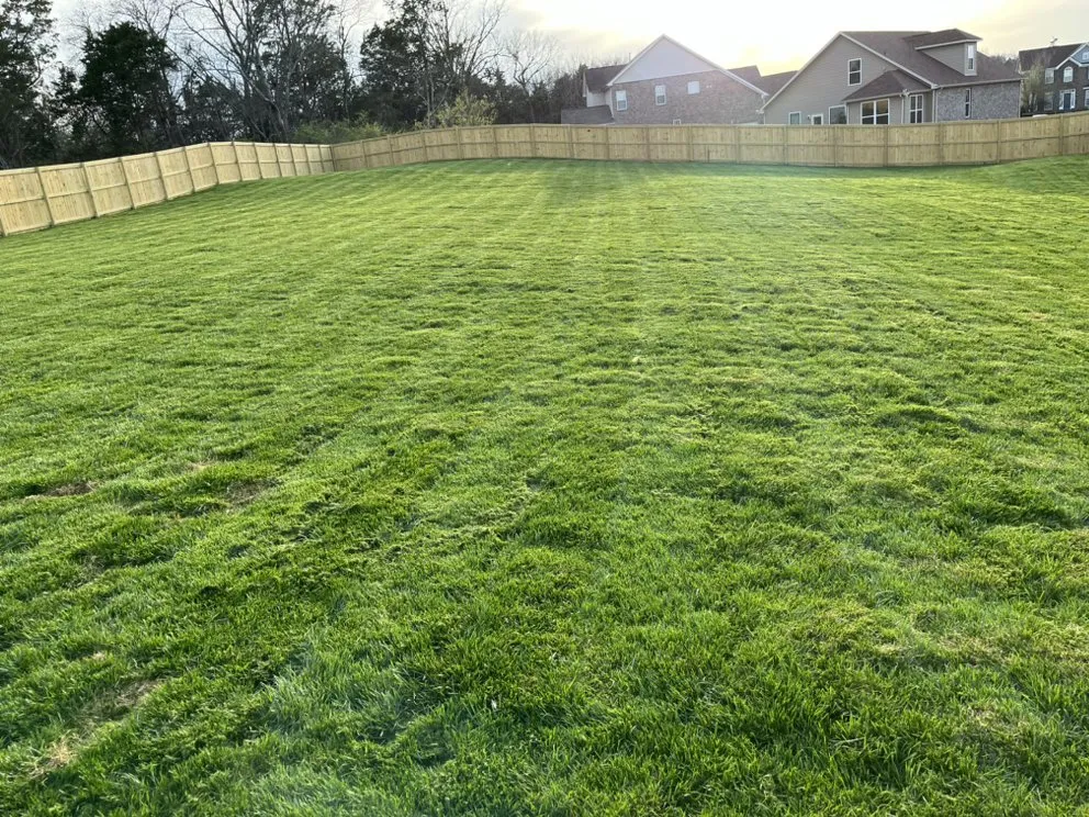 Affordable yard maintenance for outdoor upgrades across Nashville, TN - SH Pressure Washing