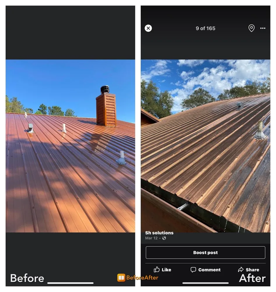 Expert yard maintenance for homes across St. Augustine, FL - Sh Solution