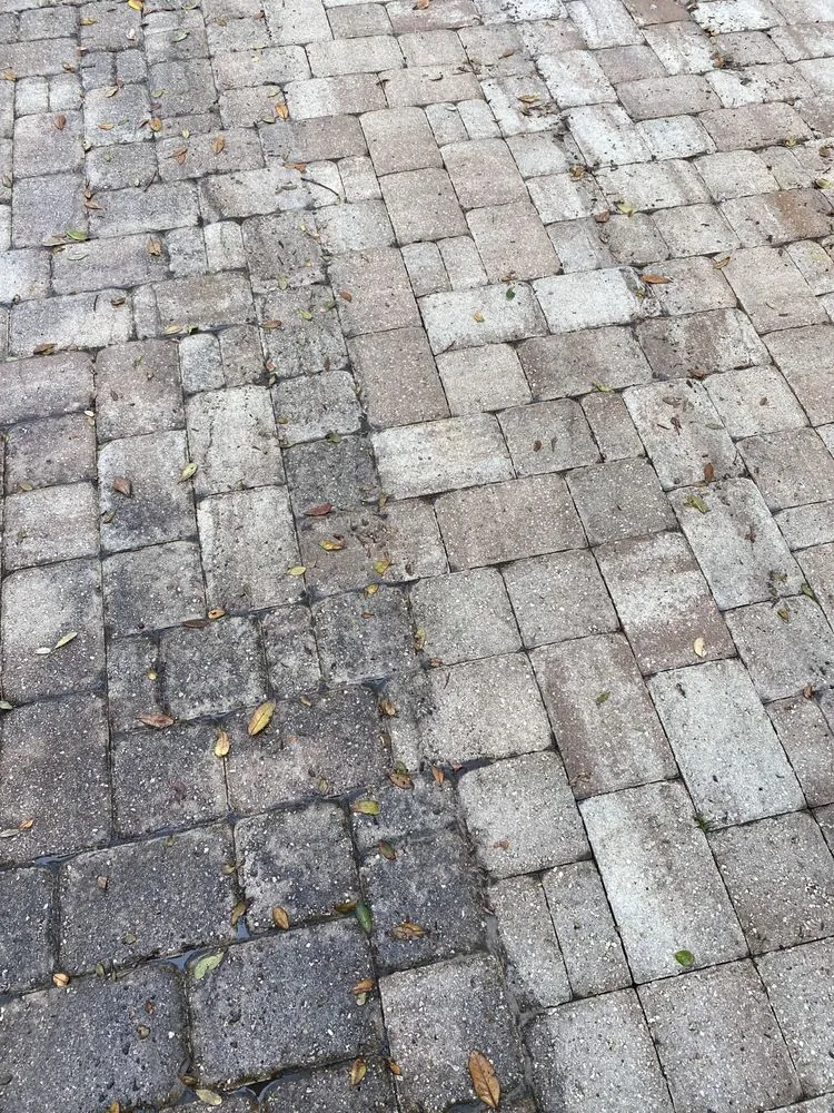 Top-rated outdoor landscaping for year-round maintenance in St. Augustine, FL by Sh Solution