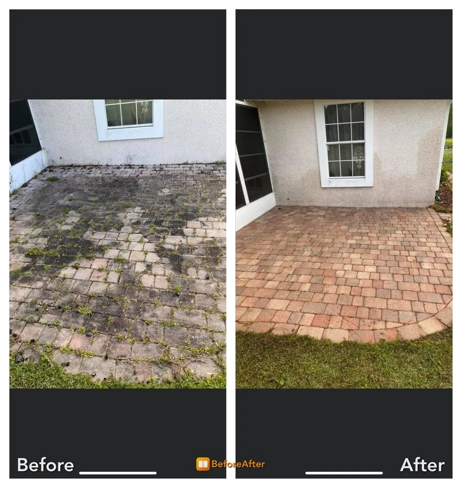 Affordable yard cleanup service with custom design across St. Augustine, FL - Sh Solution