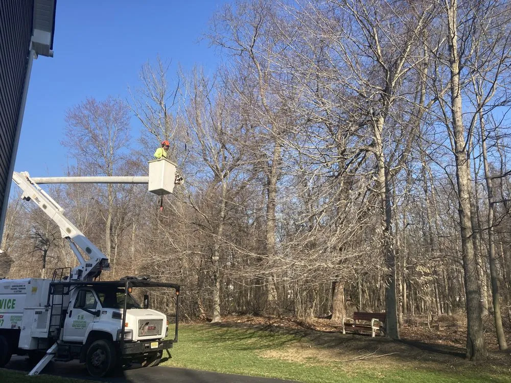 Affordable outdoor landscaping experts serving Hamilton Township, NJ - S.H Tree Service