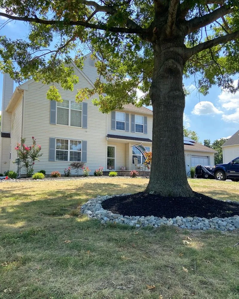 Top-rated yard cleanup service in Hamilton Township, NJ by S.H Tree Service