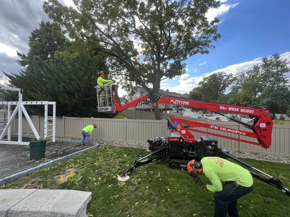 Custom landscape installation for residential properties across Hamilton Township, NJ - S.H Tree Service