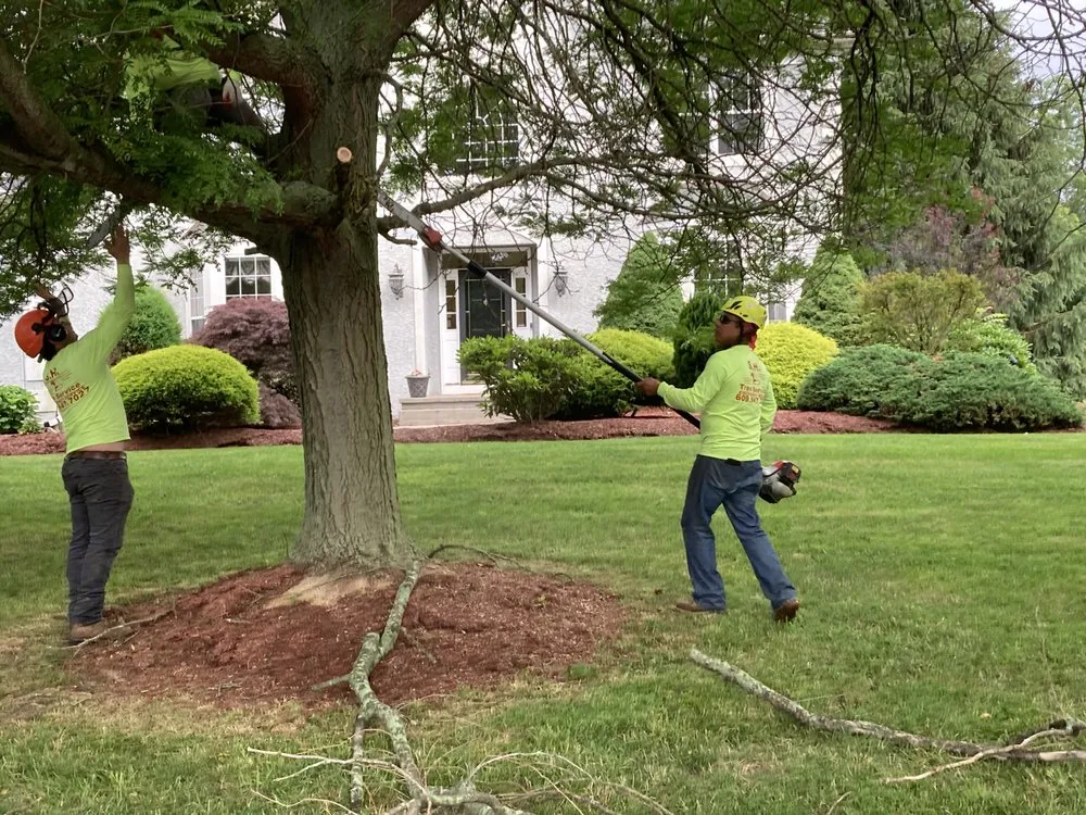 Affordable landscape design near you in Hamilton Township, NJ by S.H Tree Service