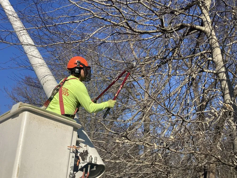 Expert landscaping services experts serving Hamilton Township, NJ - S.H Tree Service
