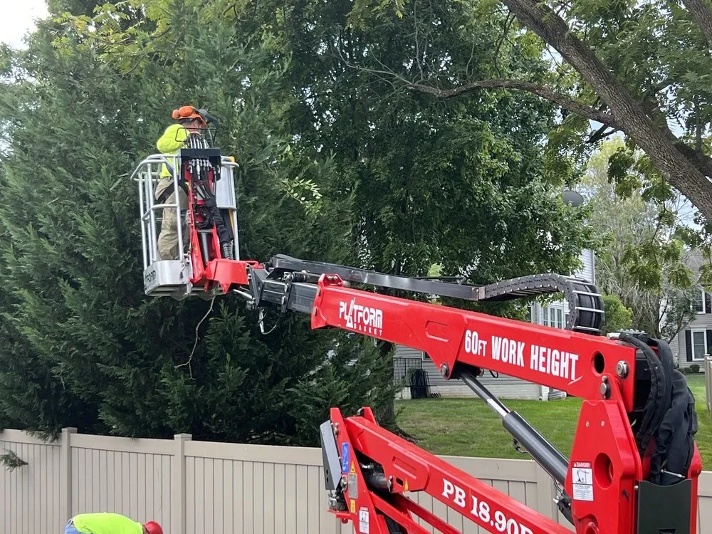 Expert yard cleanup service in Hamilton Township, NJ - S.H Tree Service