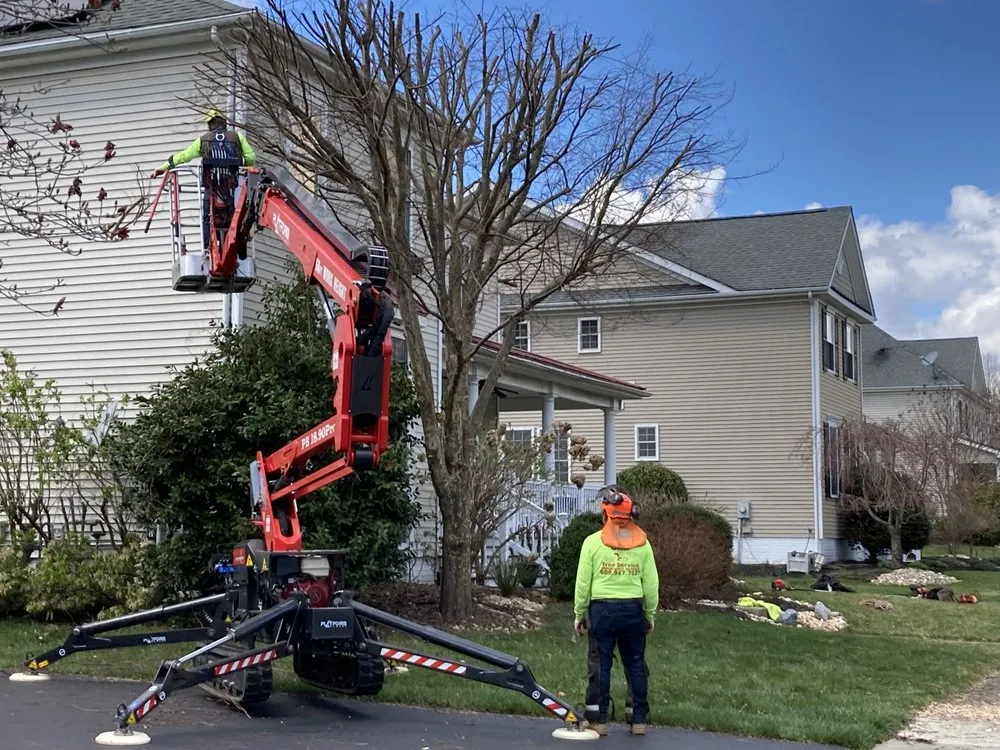 Affordable residential landscaping experts serving Hamilton Township, NJ - S.H Tree Service