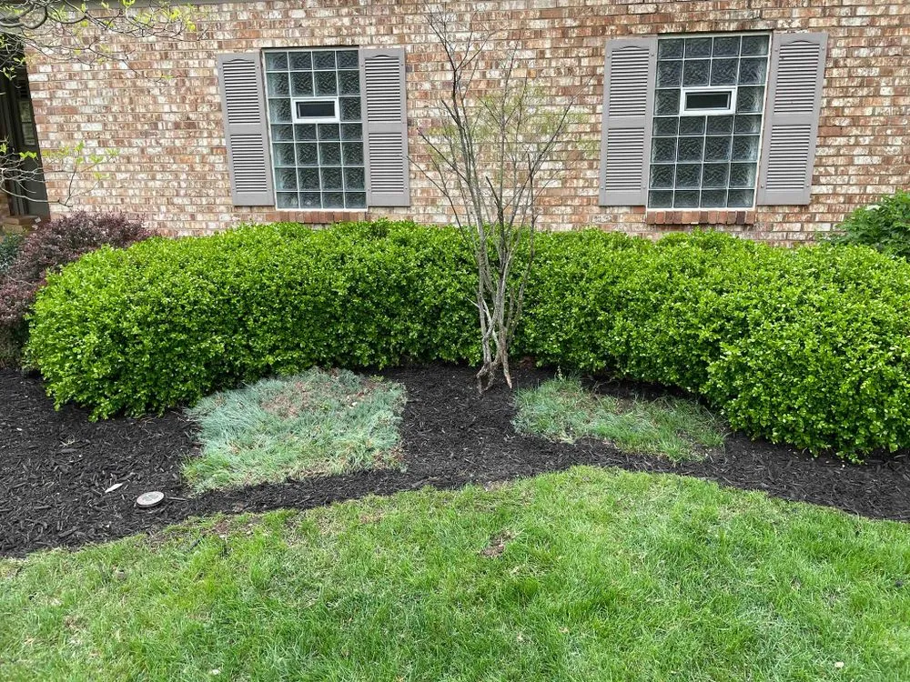 Professional yard cleanup service experts serving Westerville, OH - Shabana Landscaping
