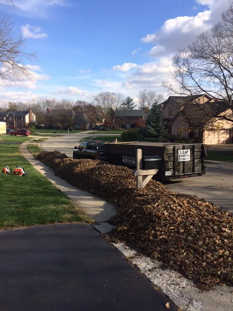 Top-rated lawn care service near you in Noblesville, IN by Shackleford Lawn & Landscape