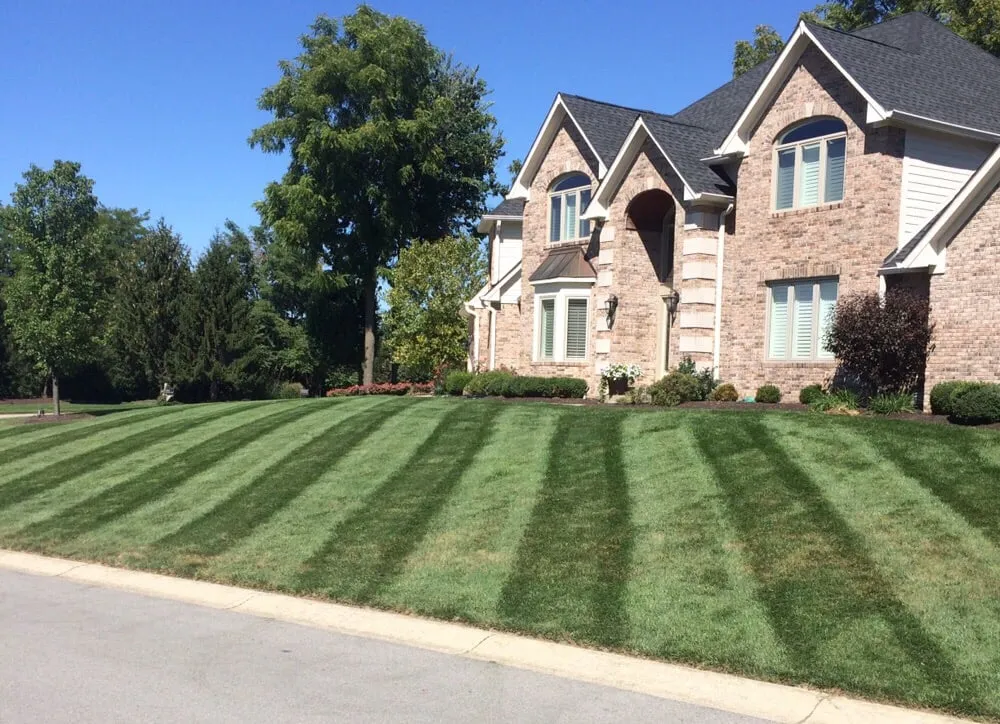 Affordable yard cleanup service in Noblesville, IN by Shackleford Lawn & Landscape