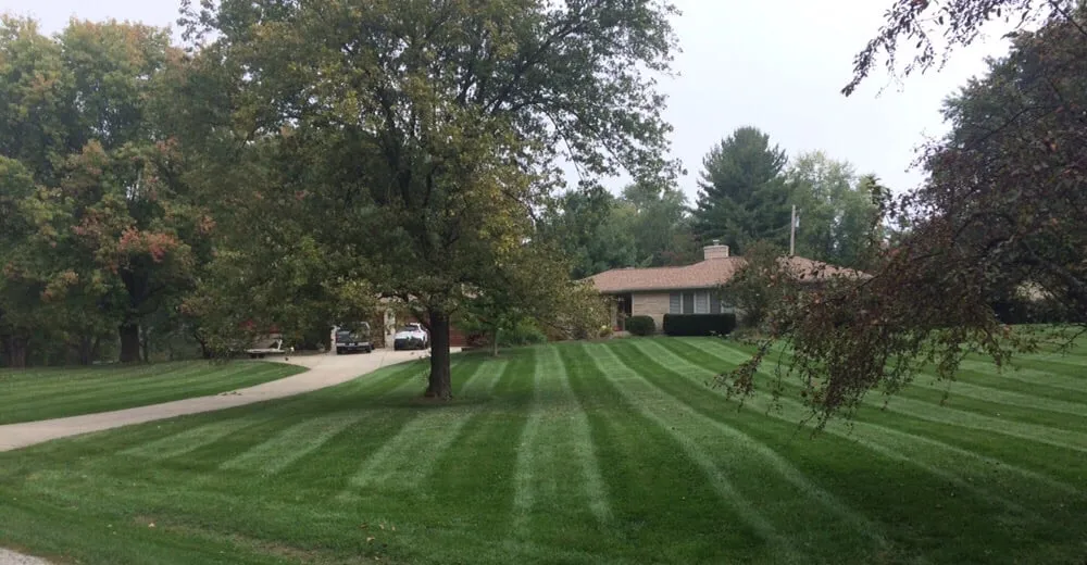 Custom garden landscaping for outdoor upgrades across Noblesville, IN - Shackleford Lawn & Landscape