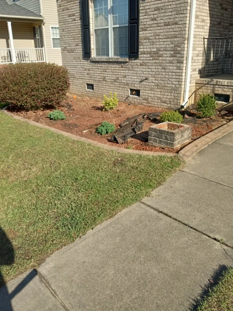Top-rated landscape installation in Fayetteville, NC by Shad Earth Care Service