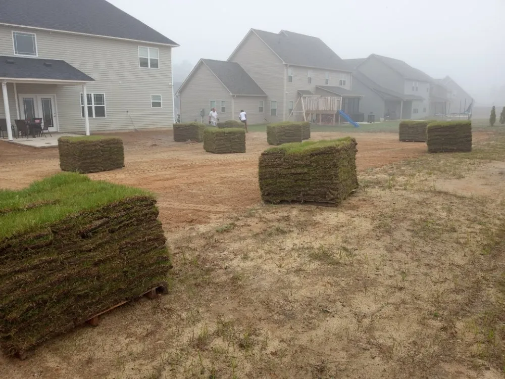 Trusted outdoor landscaping experts serving Fayetteville, NC - Shad Earth Care Service